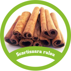 scortisoara rulou